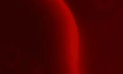 Human Blood Products