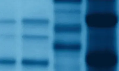 Human Protein Fractions