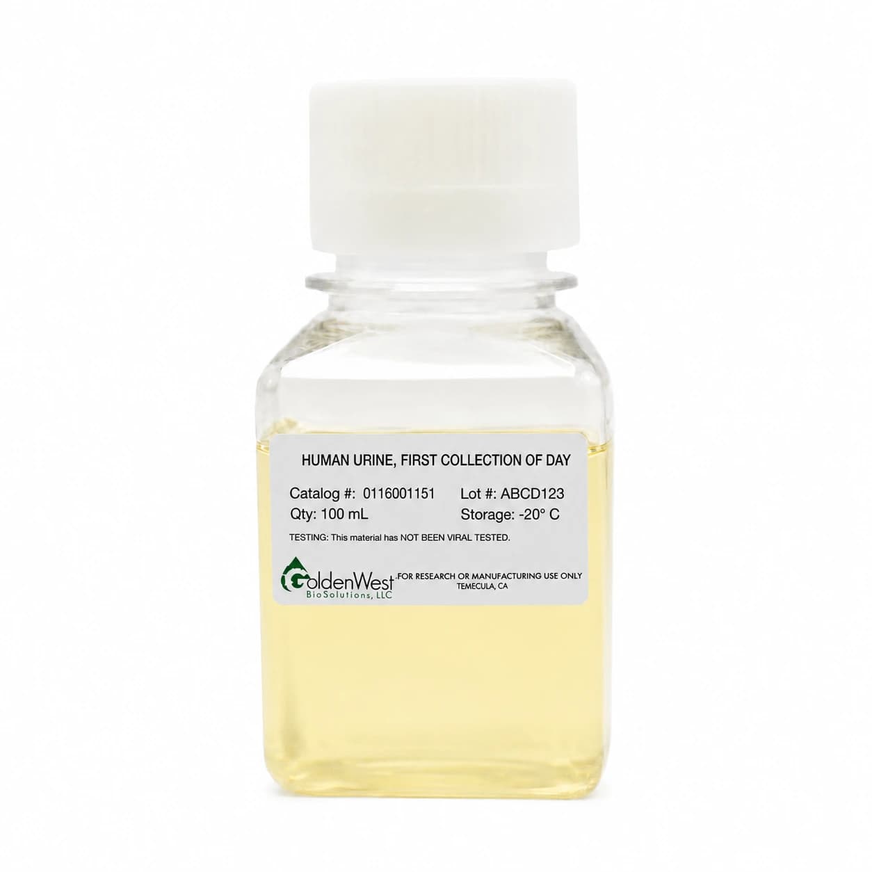 Human Urine, First Collection of the Day