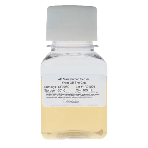 SP2080: AB Male Human Serum From Off The Clot