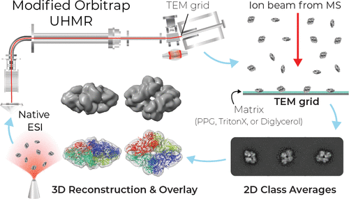 Matrix Landing Mass Spectrometry visualization
